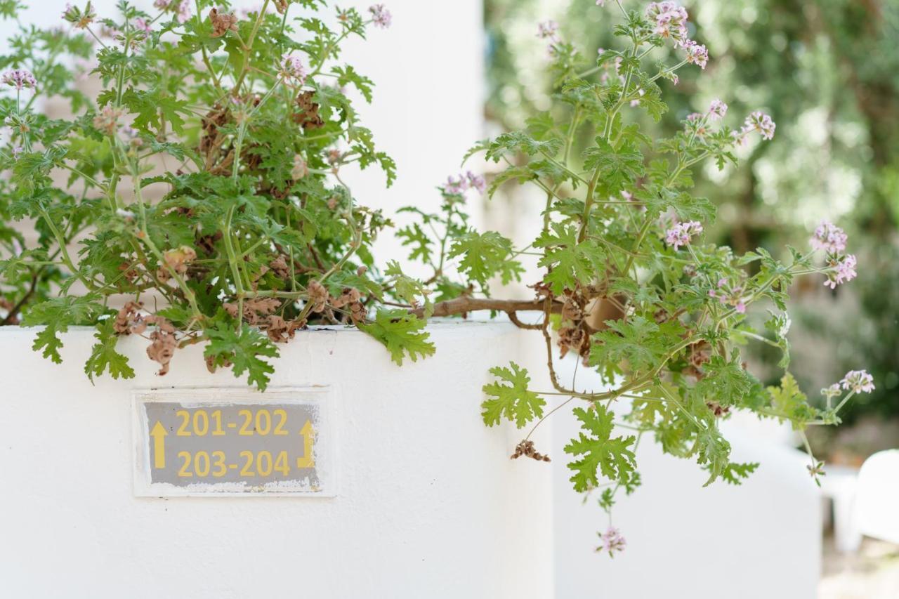 Costa Sariyaz Hotel Bodrum Exterior foto